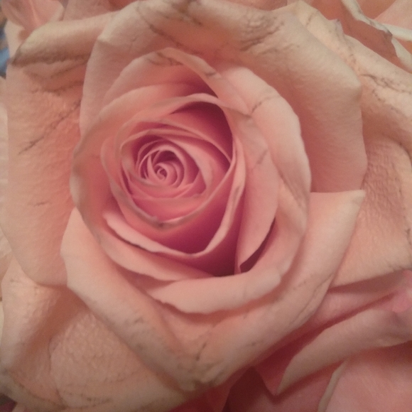 Hello. - Picture 1 of 1